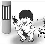 夏休みの遊び方(ぢょにの思い出話)