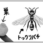 蜂の巣の駆除