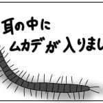 真夜中の救急車……こぼれ話