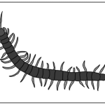 真夜中の救急車……その④